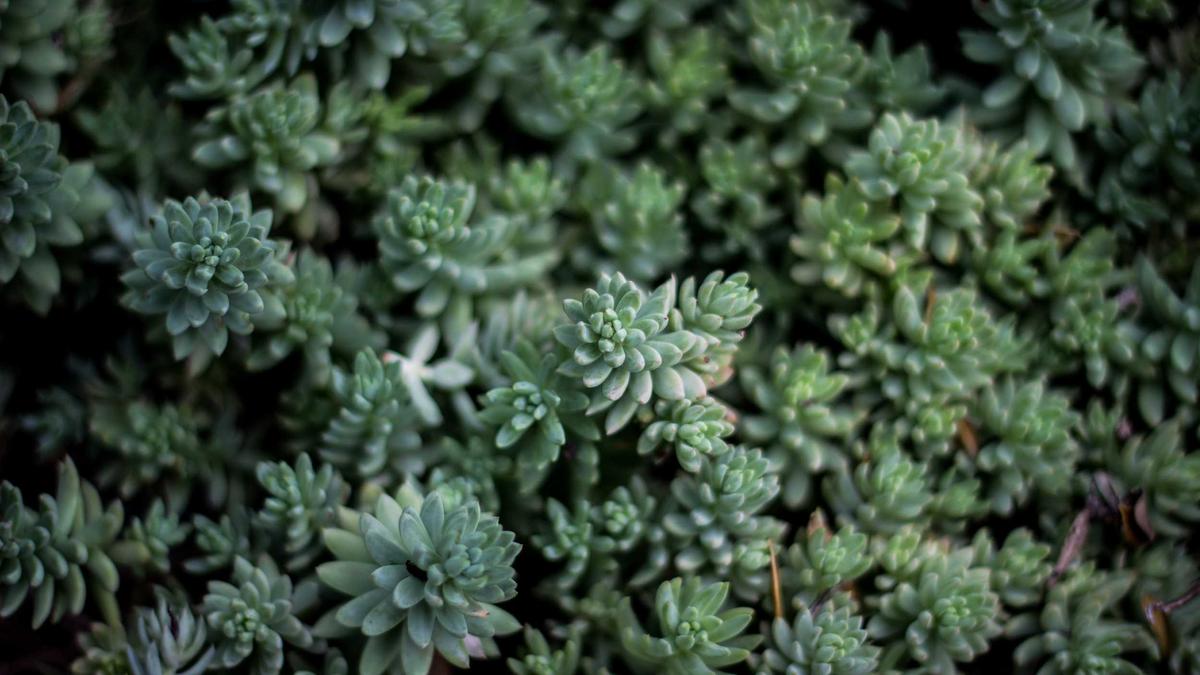 AI-driven reduction strategy recommendations