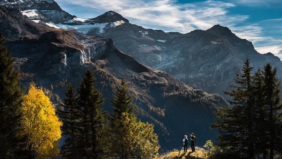 Performance analytics and AI-driven academic insights